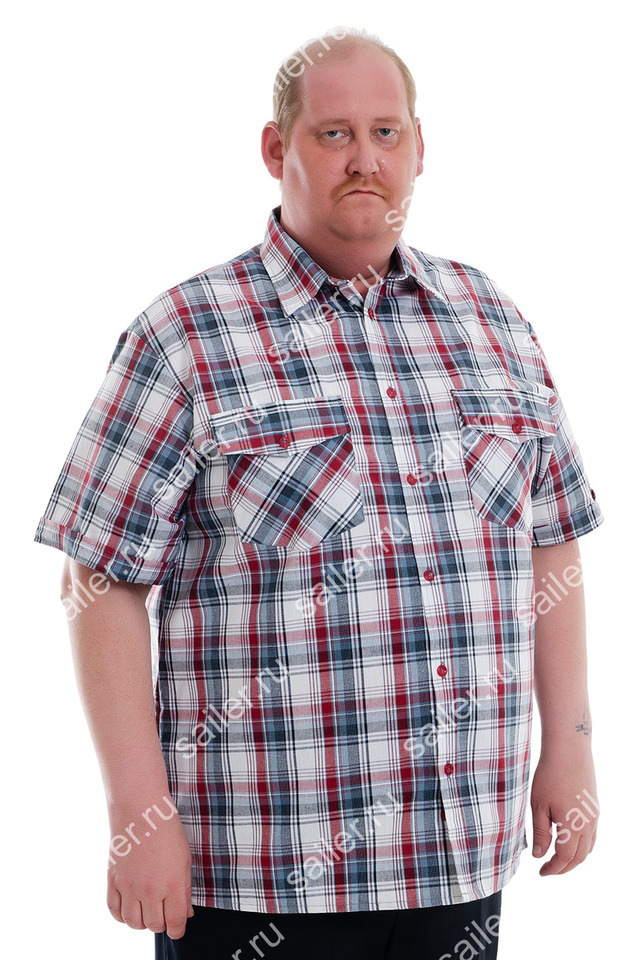 Рубашка мужская (шотландка), кор. рукав, рост 170-176 см